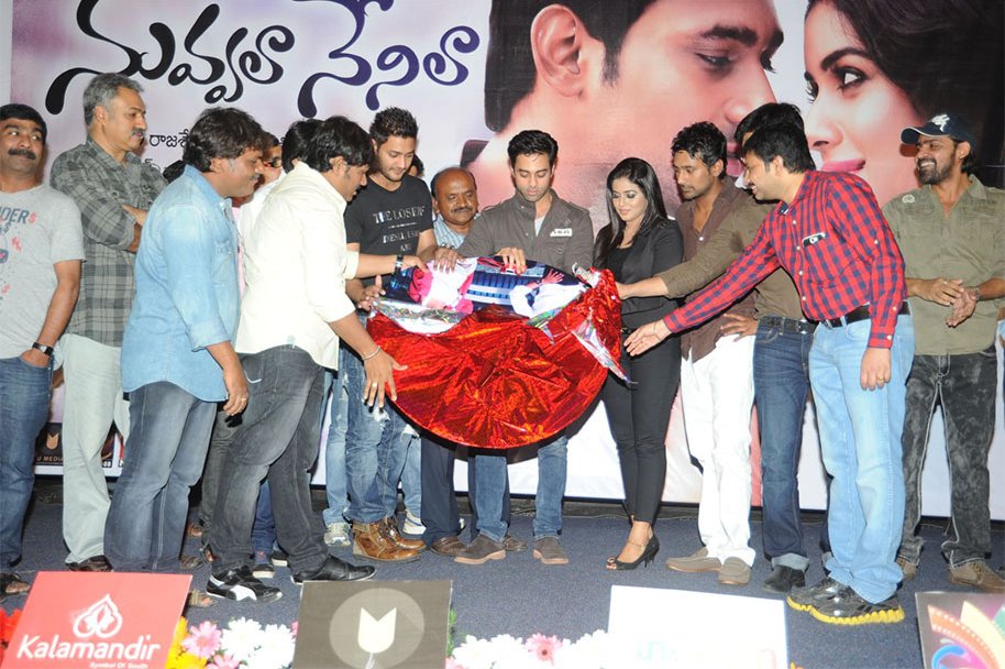 Nuvvala-Nenila-Audio-Launch